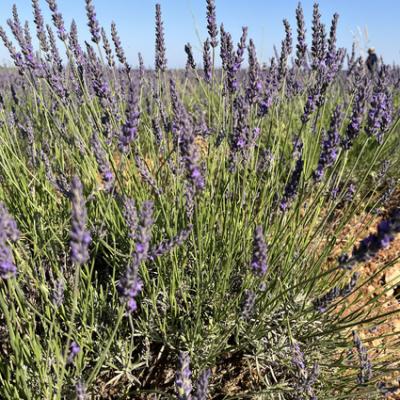 20250628 075404814 Ios