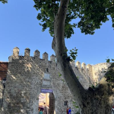 20250628 083844099 Ios