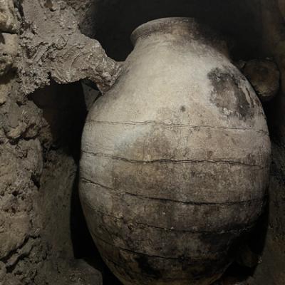 20250628 093302922 Ios