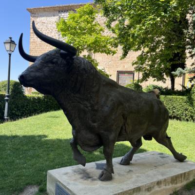 20250628 095806528 Ios